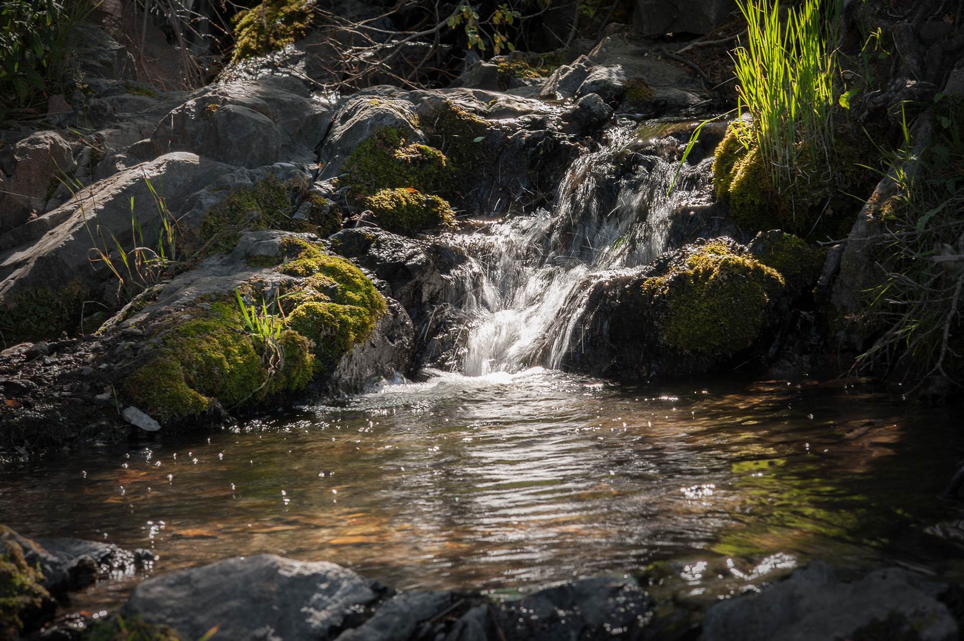 Secret Pool
