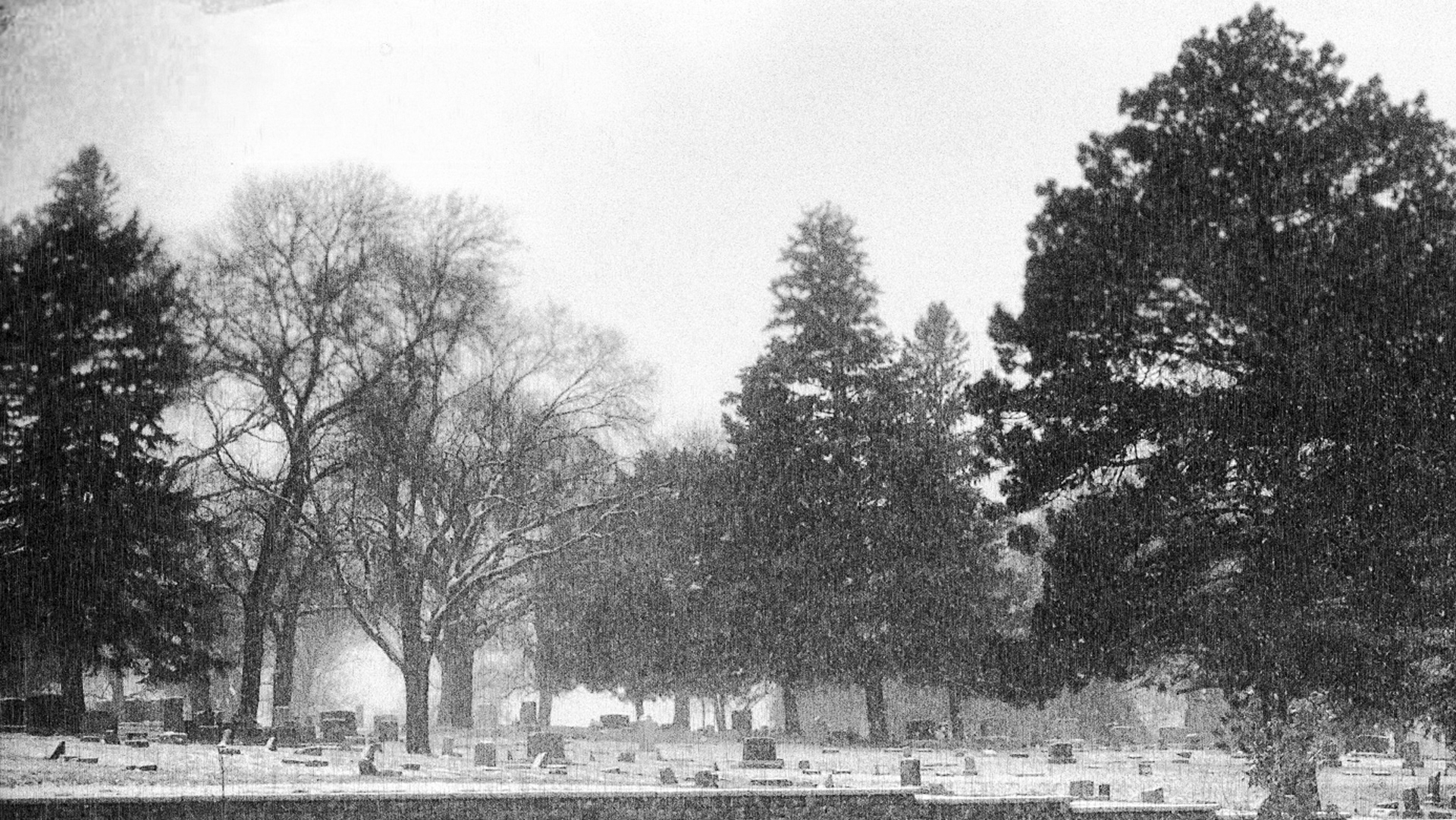 Peaceful Snow