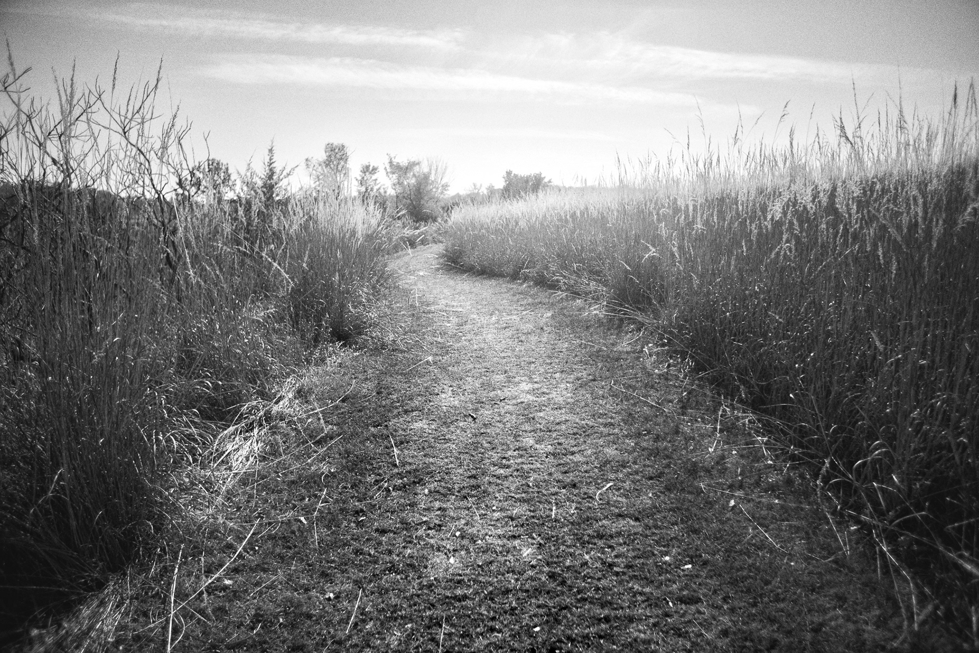 An Autumn Day's Walk