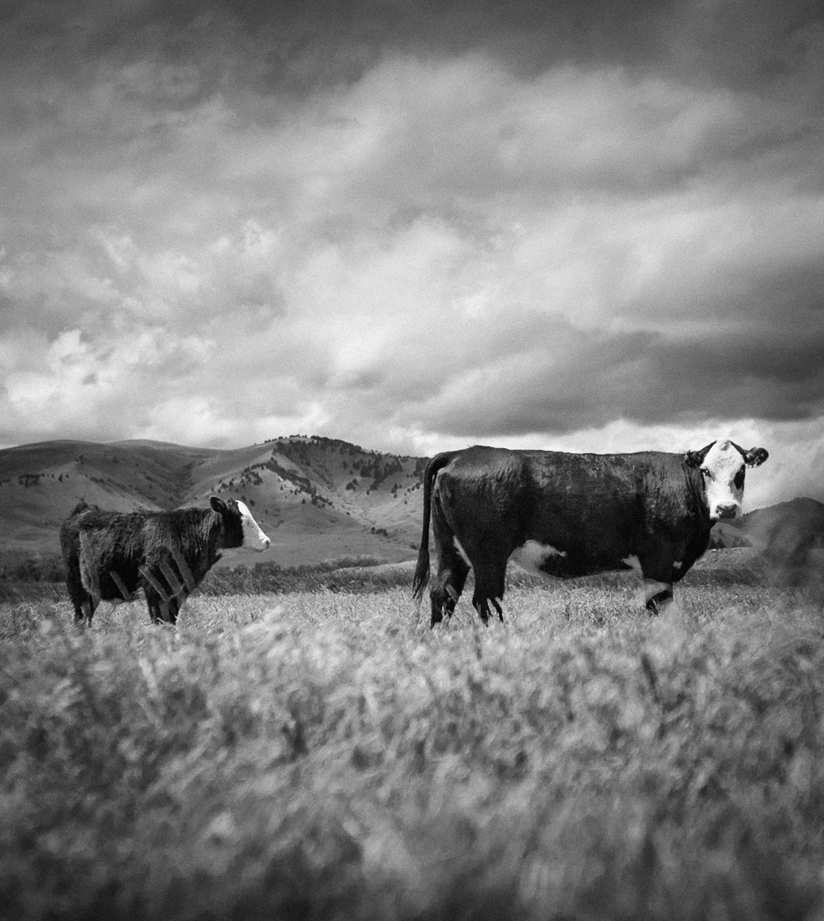 Two