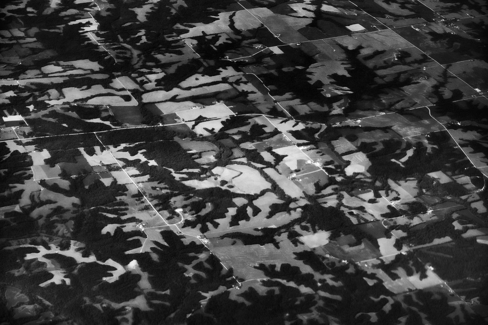 Earth Camouflage