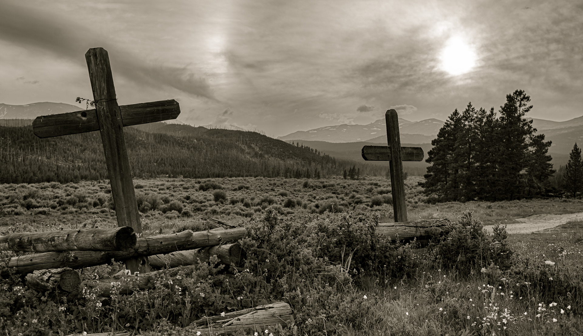 Graves With A View