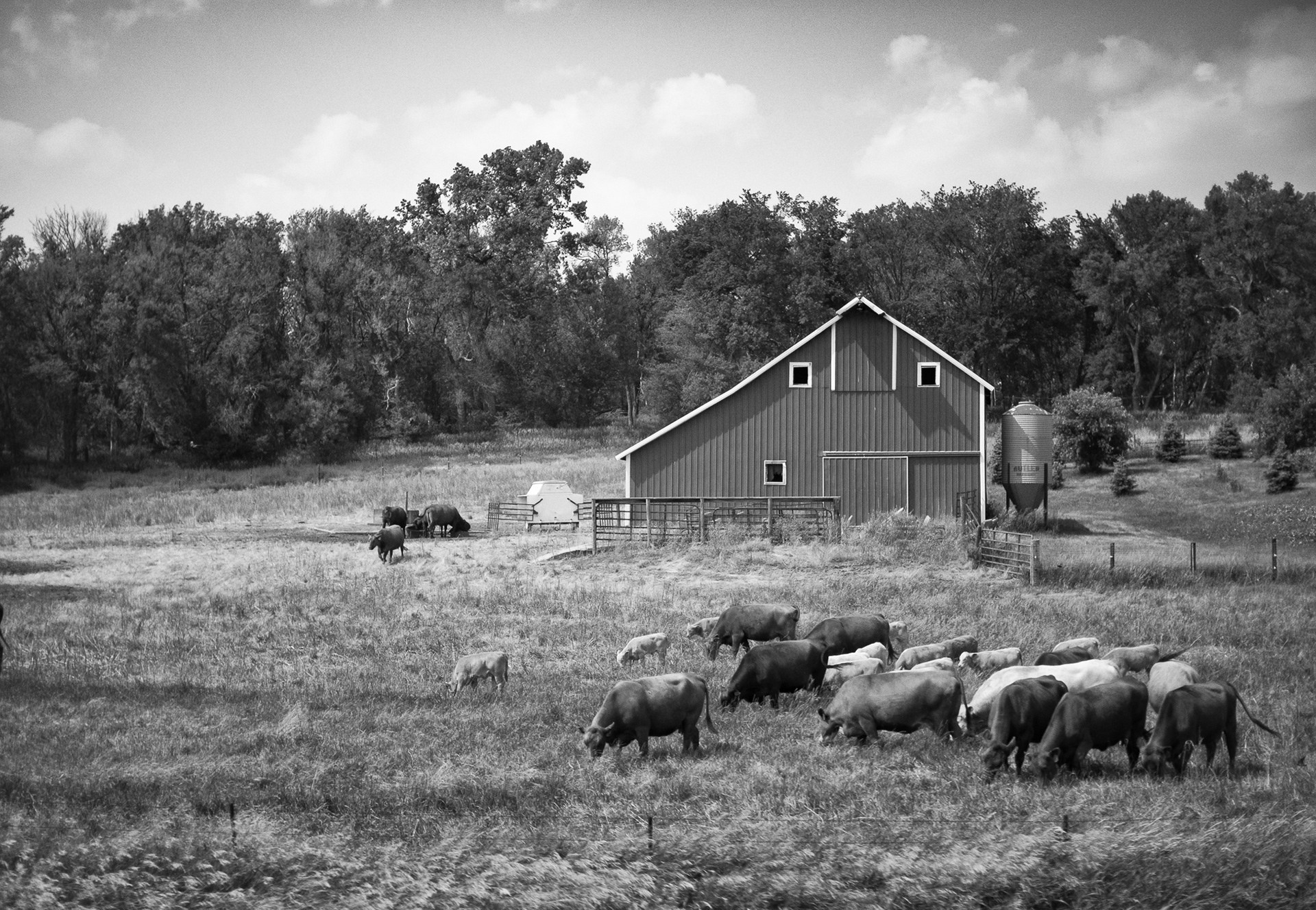 First Weekend Of Summer Drive-By Shooting XI