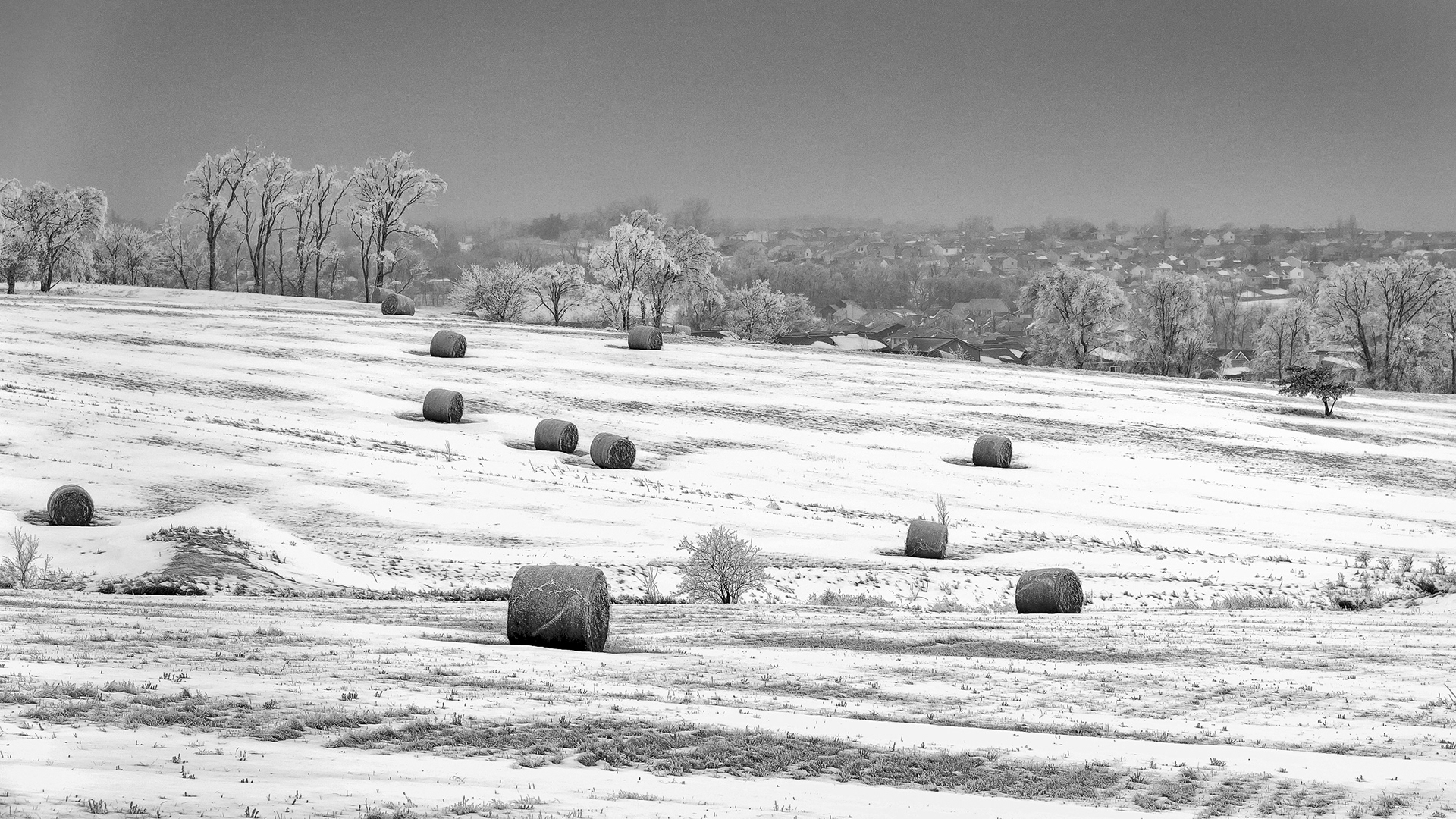 Winter Landscape