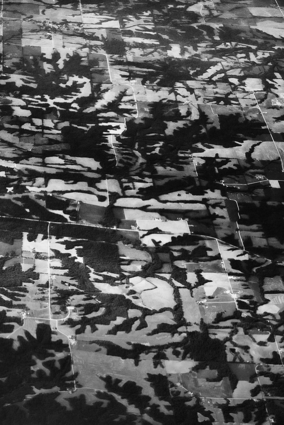 Earth Camouflage II
