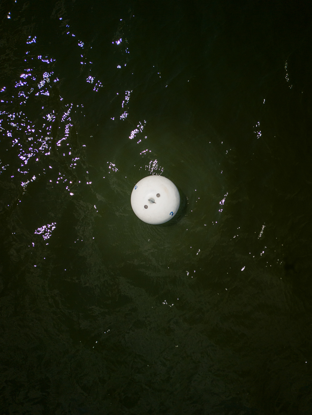 Buoy