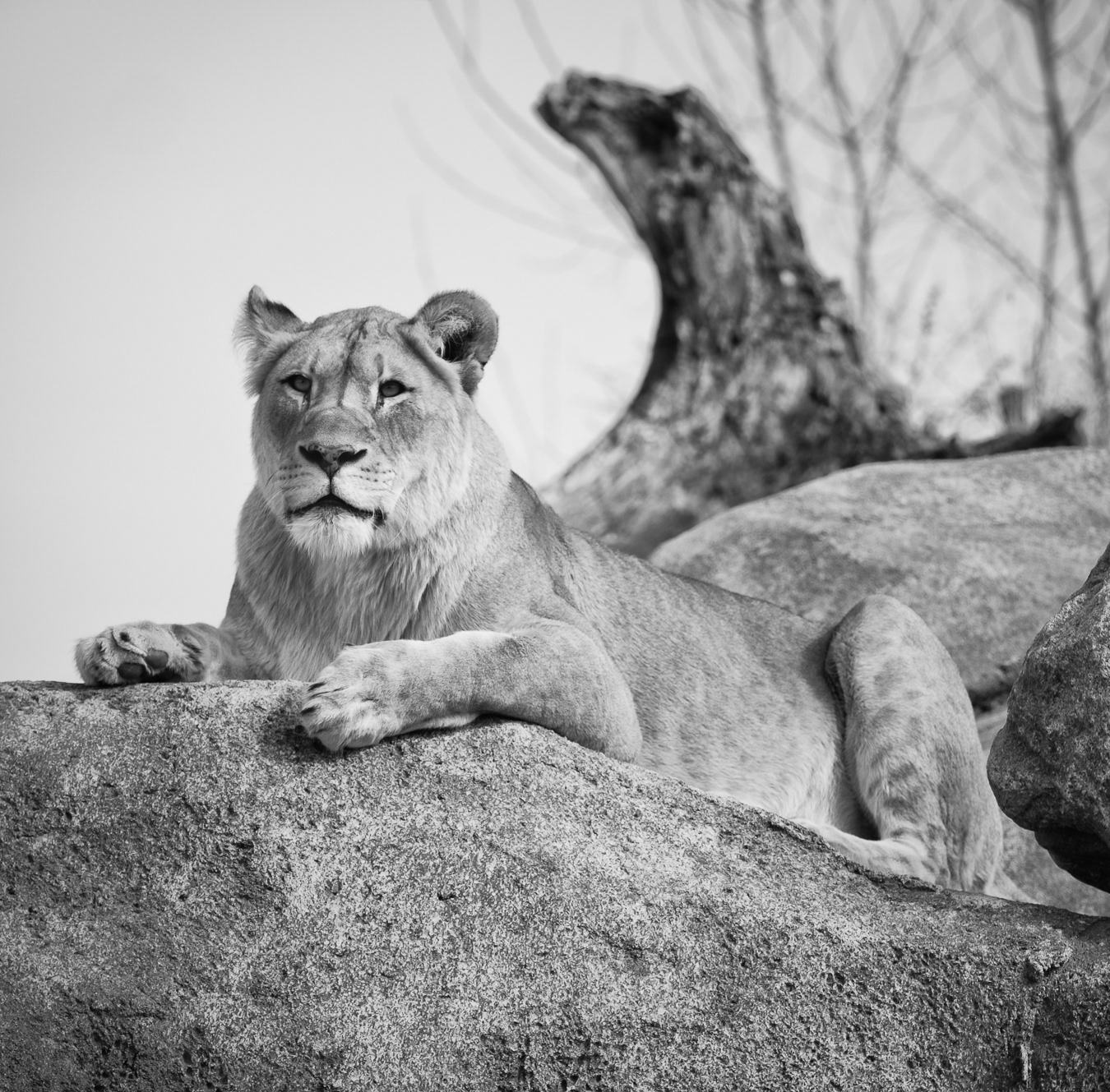 On Her Throne