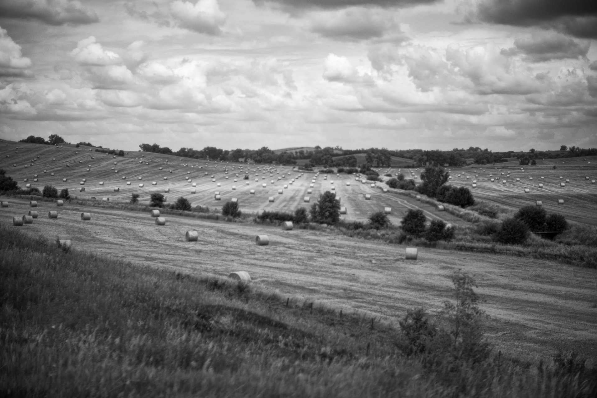 Fields O' Bales