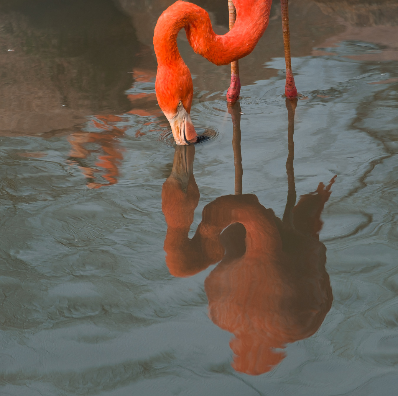 Takin' A Drink