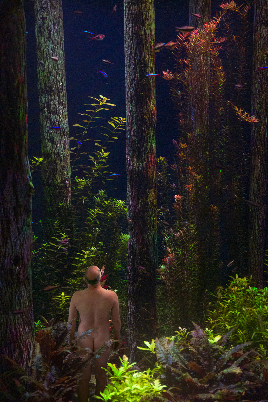 In Another World