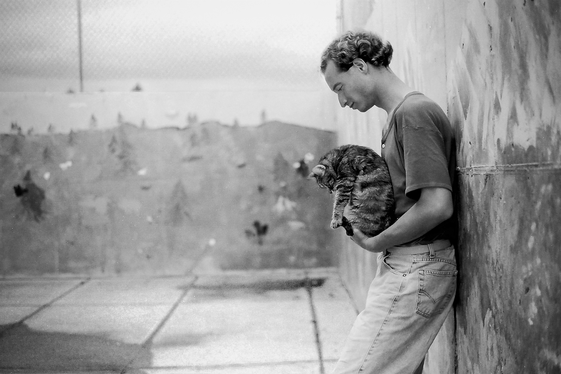 Summer Of My Discontent