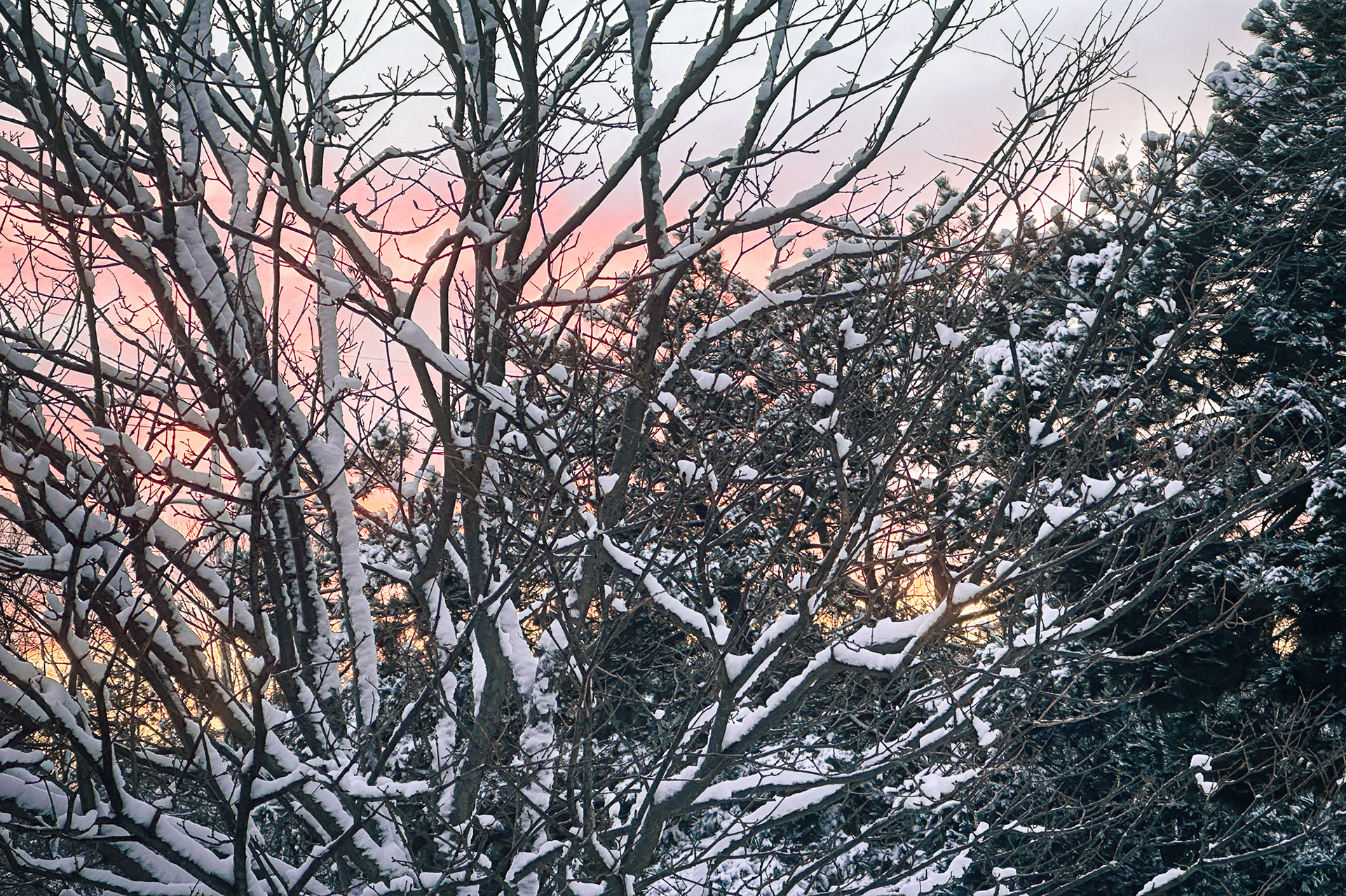 A Winter Sunset