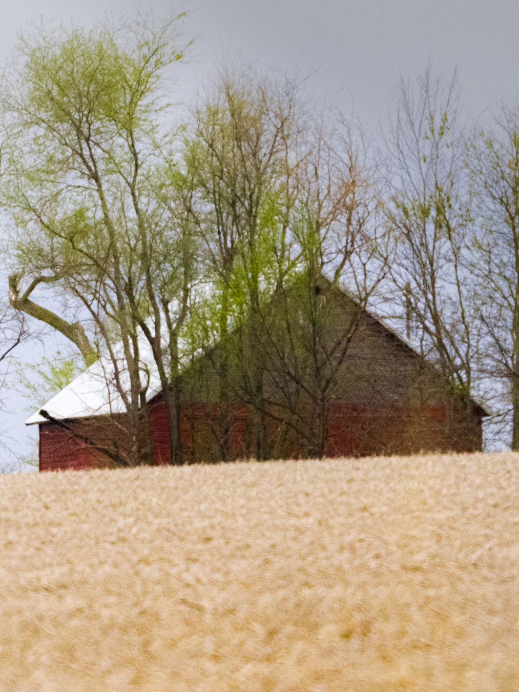 Barn Hiding