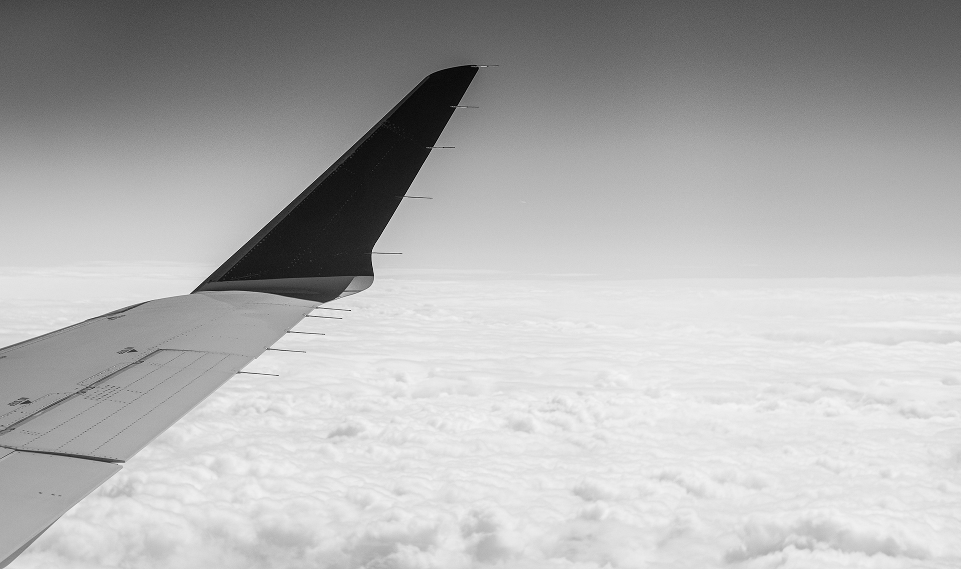 Tranquil Flying Scene