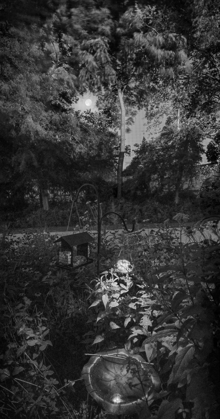 Moon O'er Bird Area