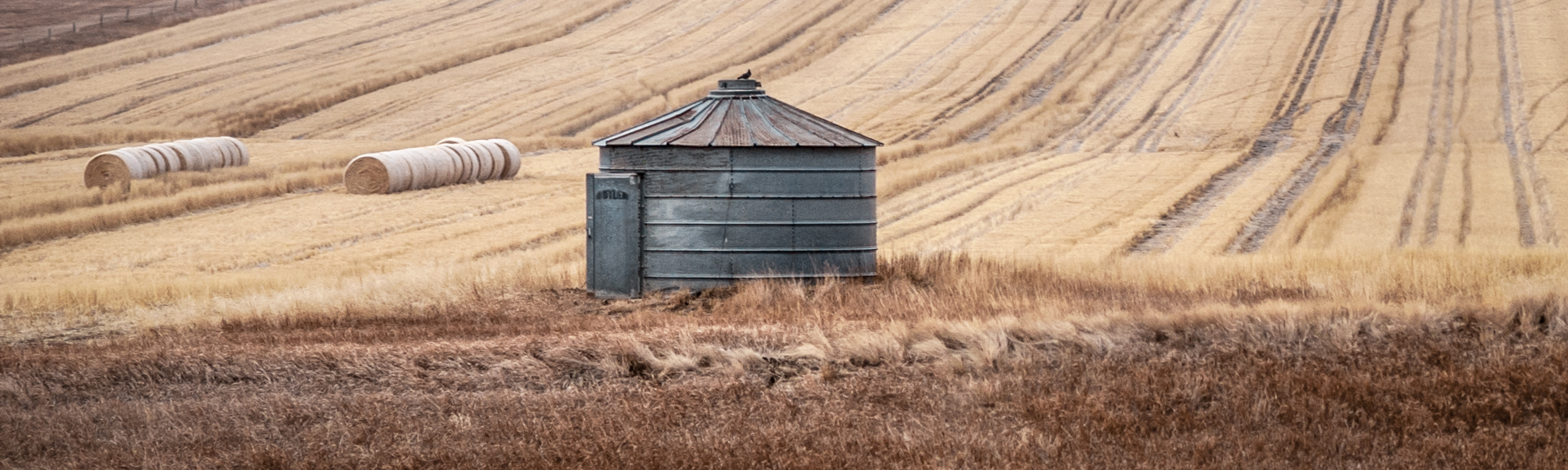 Silo And Hay