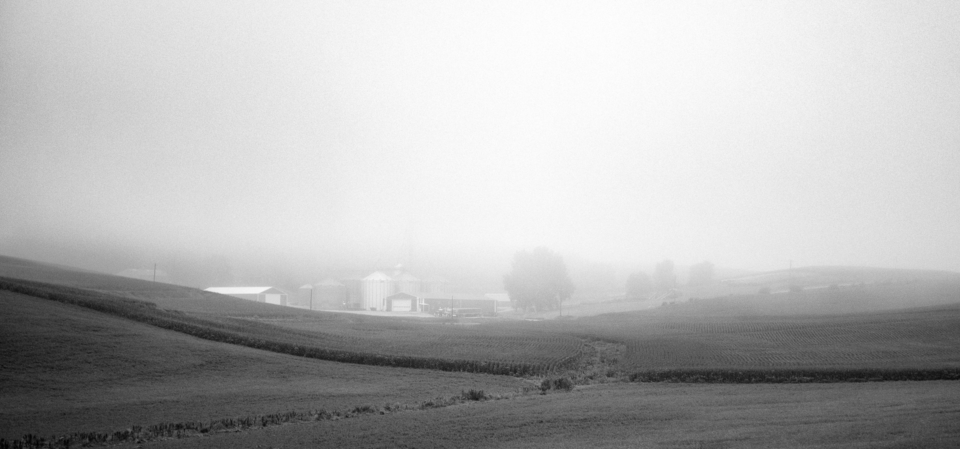 In The Valley Of The Fog