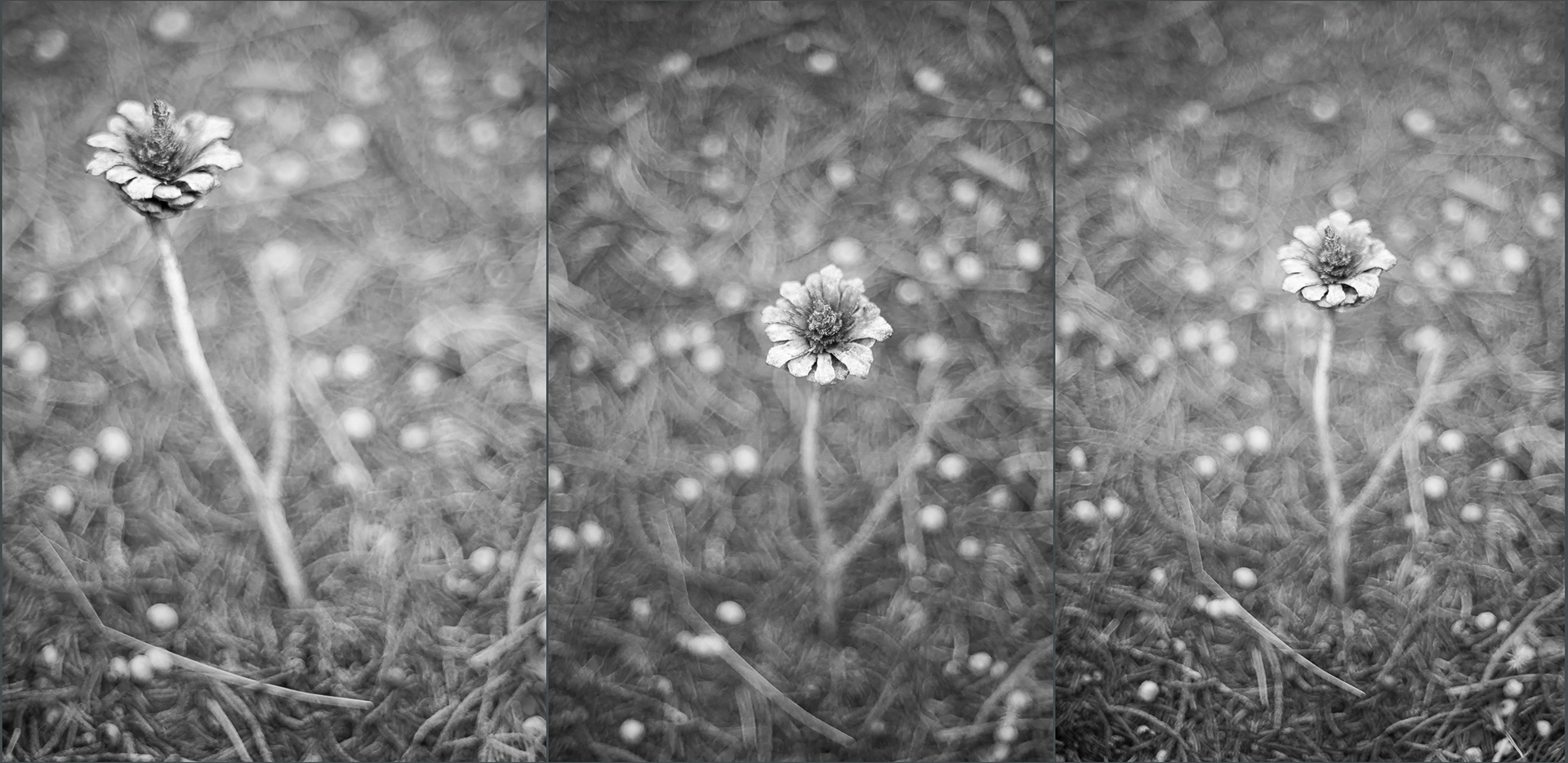 Floral Cone Tryptich