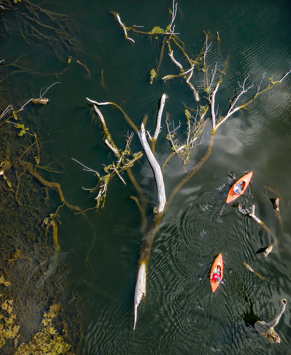 Two Kayakers