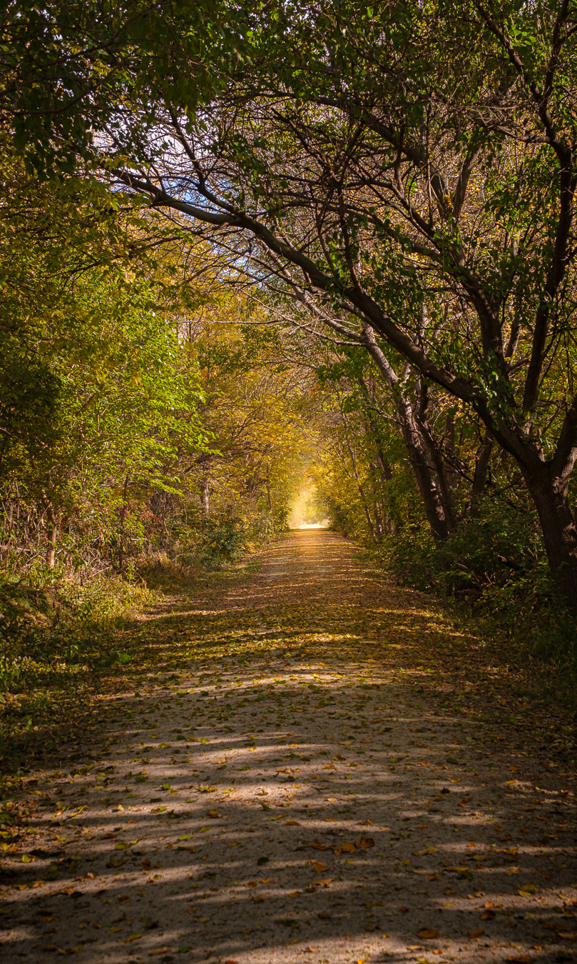 Light At The End Of The Trail