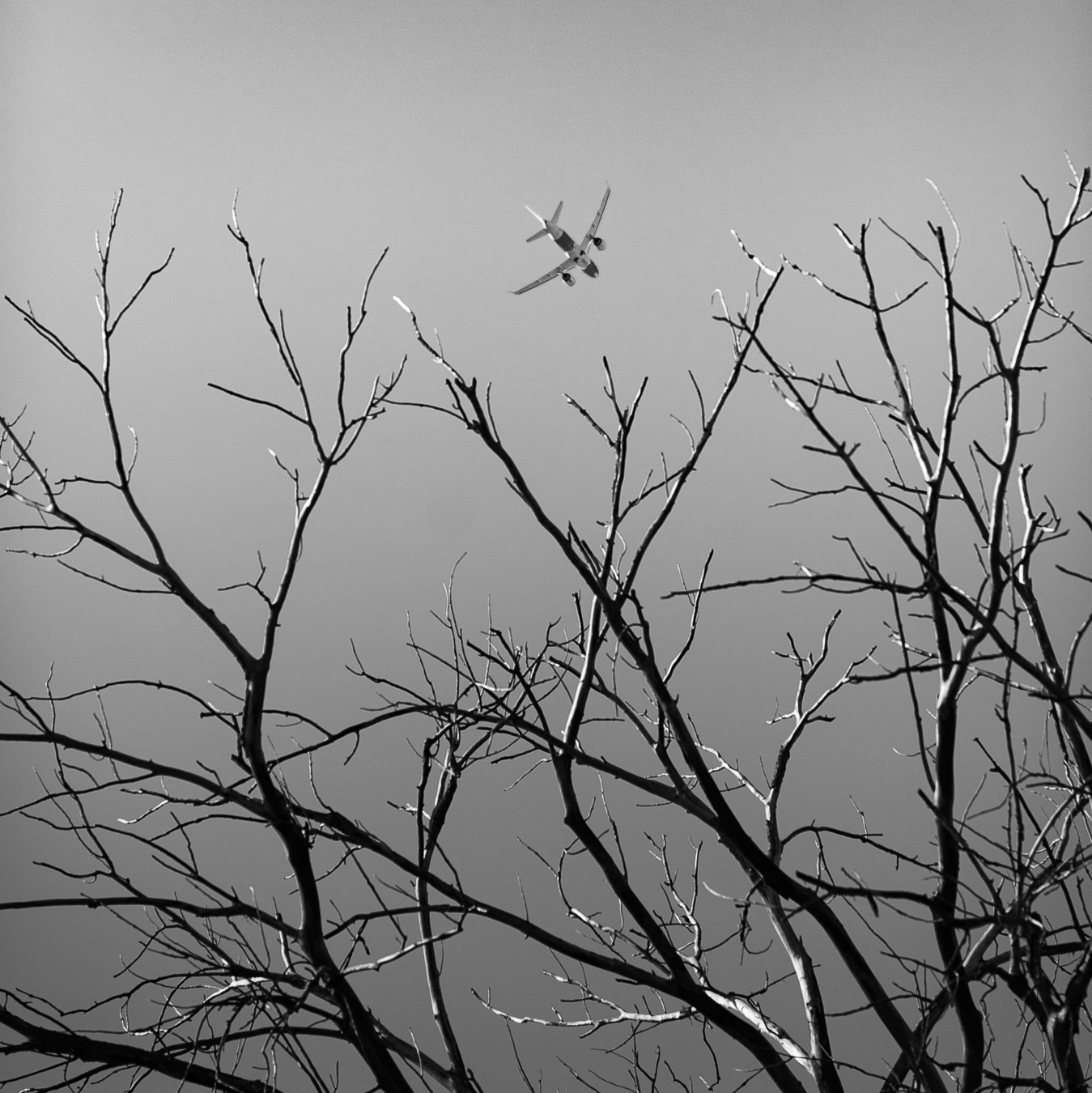 Flying Above Their Grasps