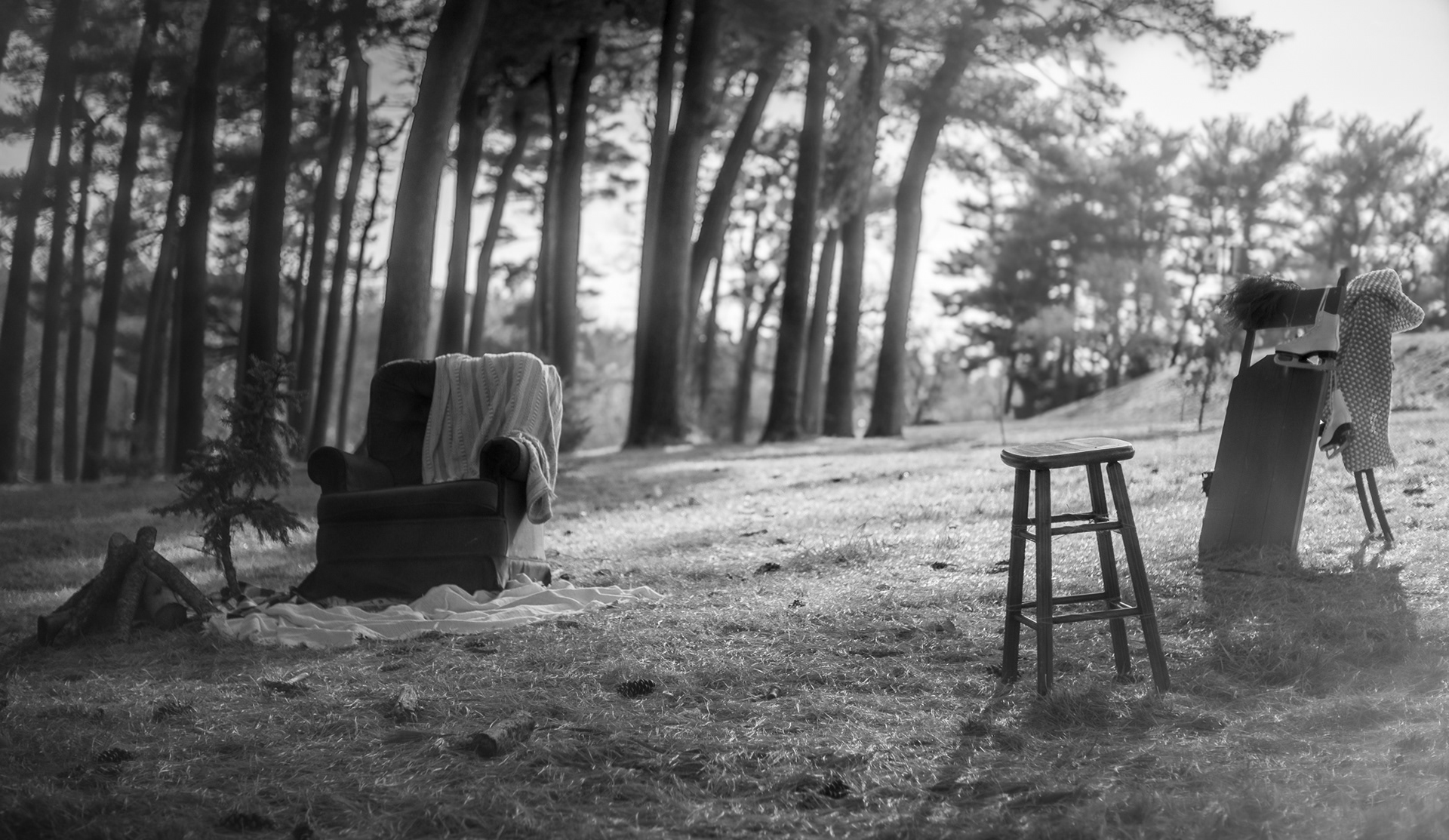 An Unusual Scene