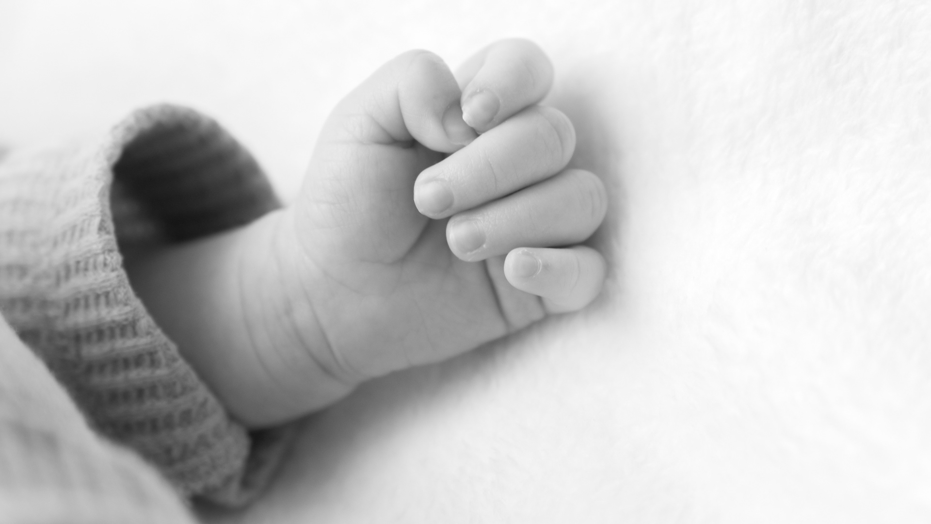 Li'l Dudes' Li'l Hand