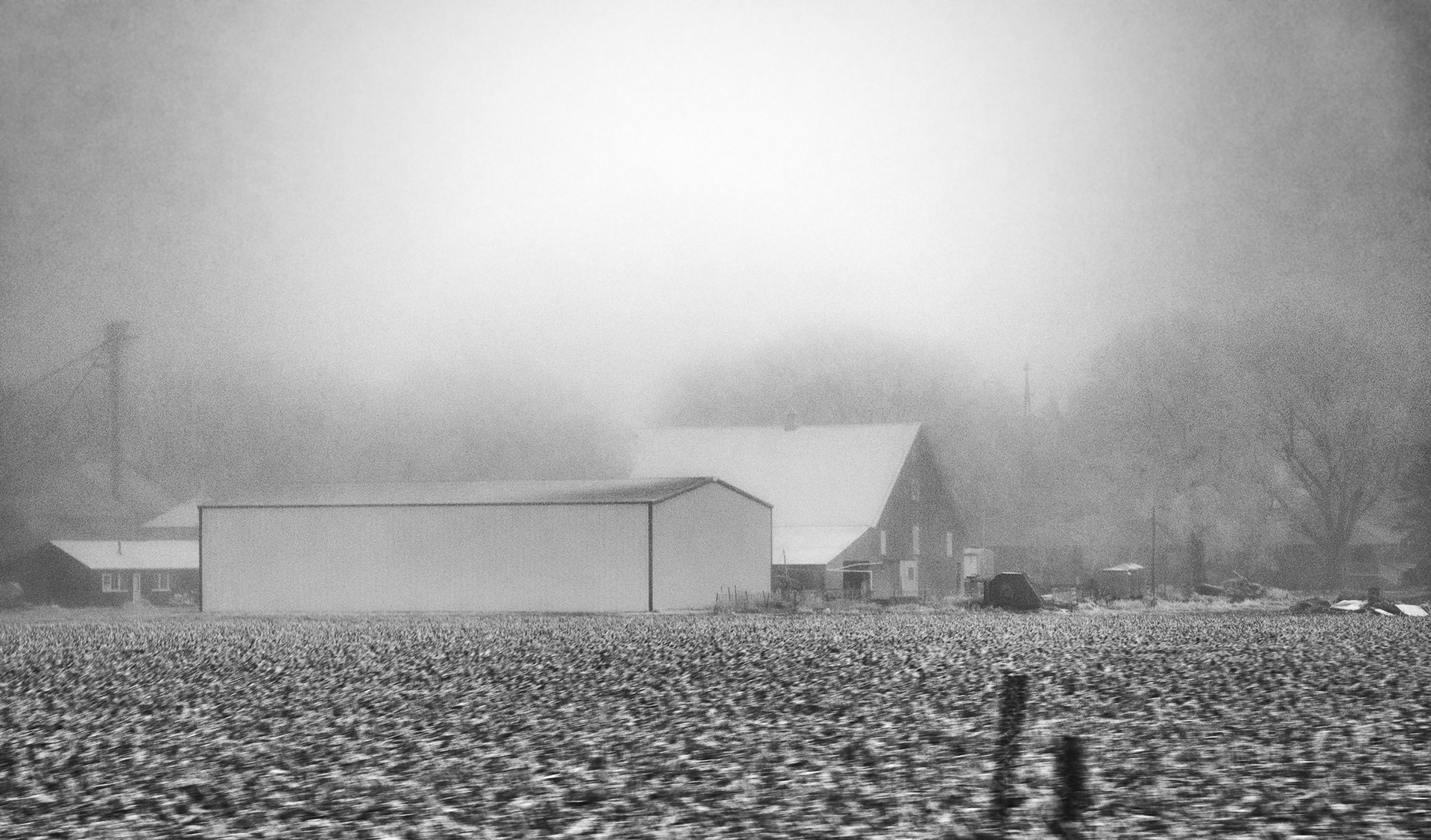 Farm Enshrouded in Fog