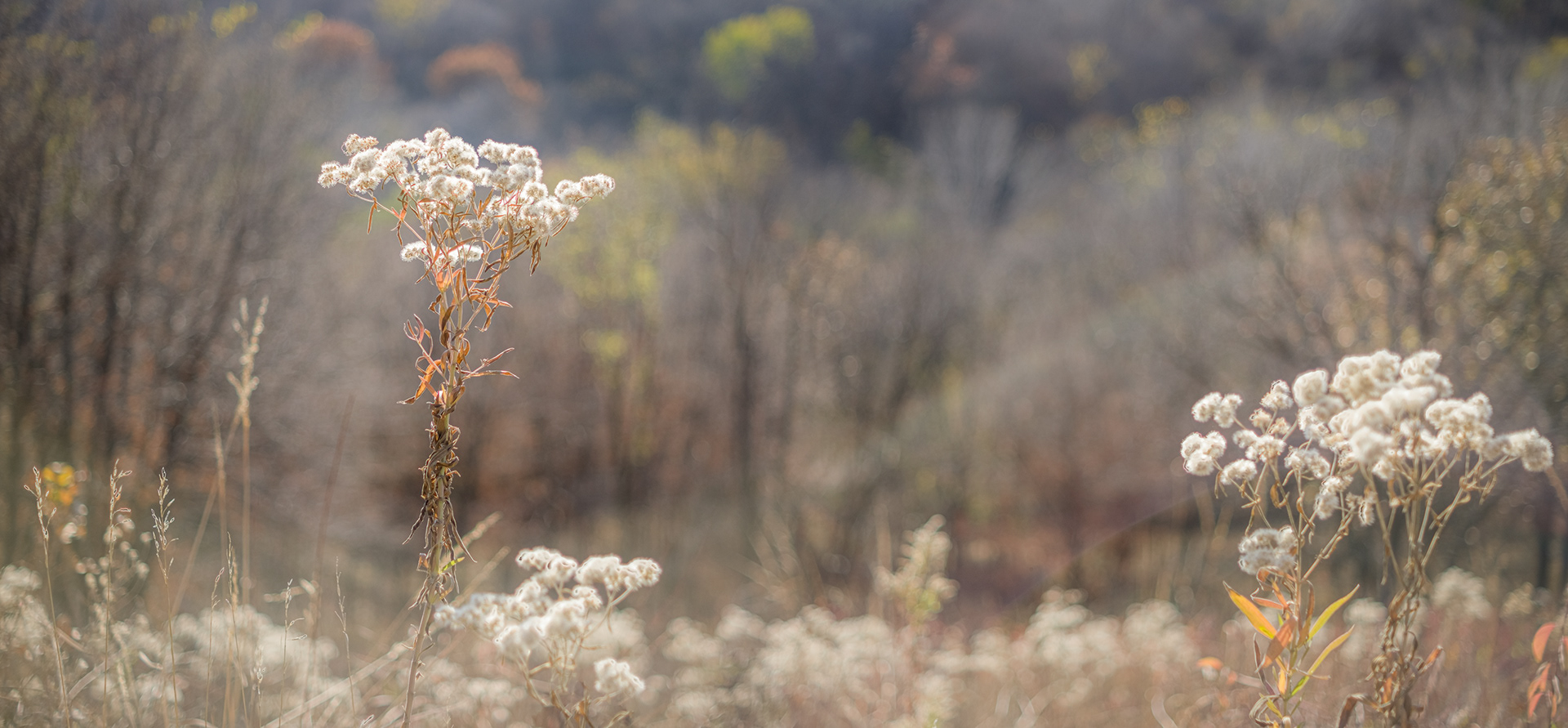 Peaceful Autumn Day