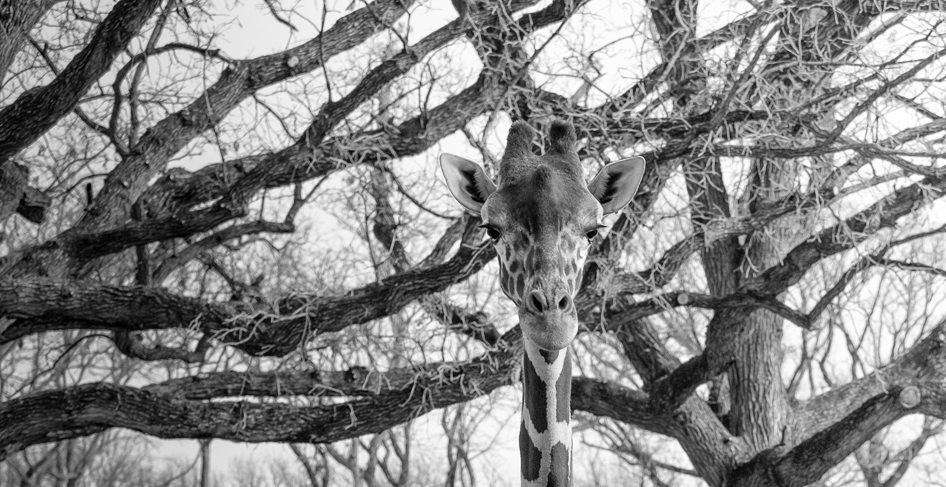 You Don't See Me