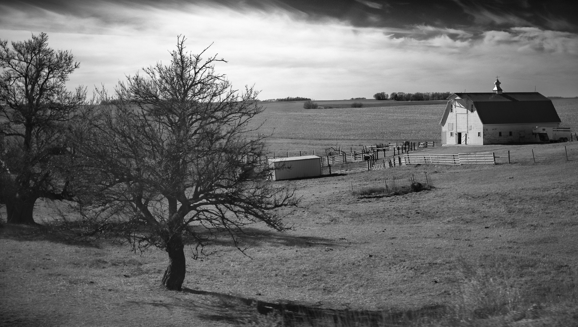 Barn Sentinals