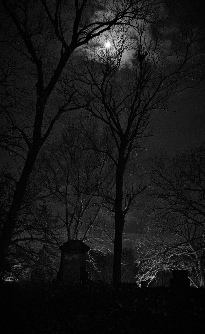 Moon O'er Cemetery