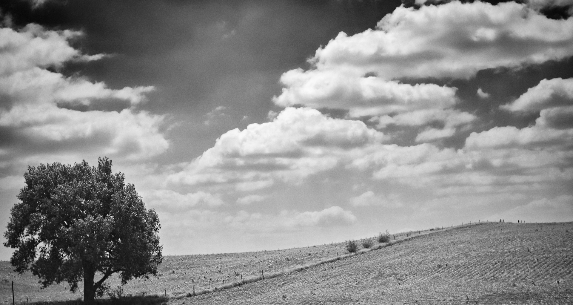 First Weekend Of Summer Drive-By Shooting V