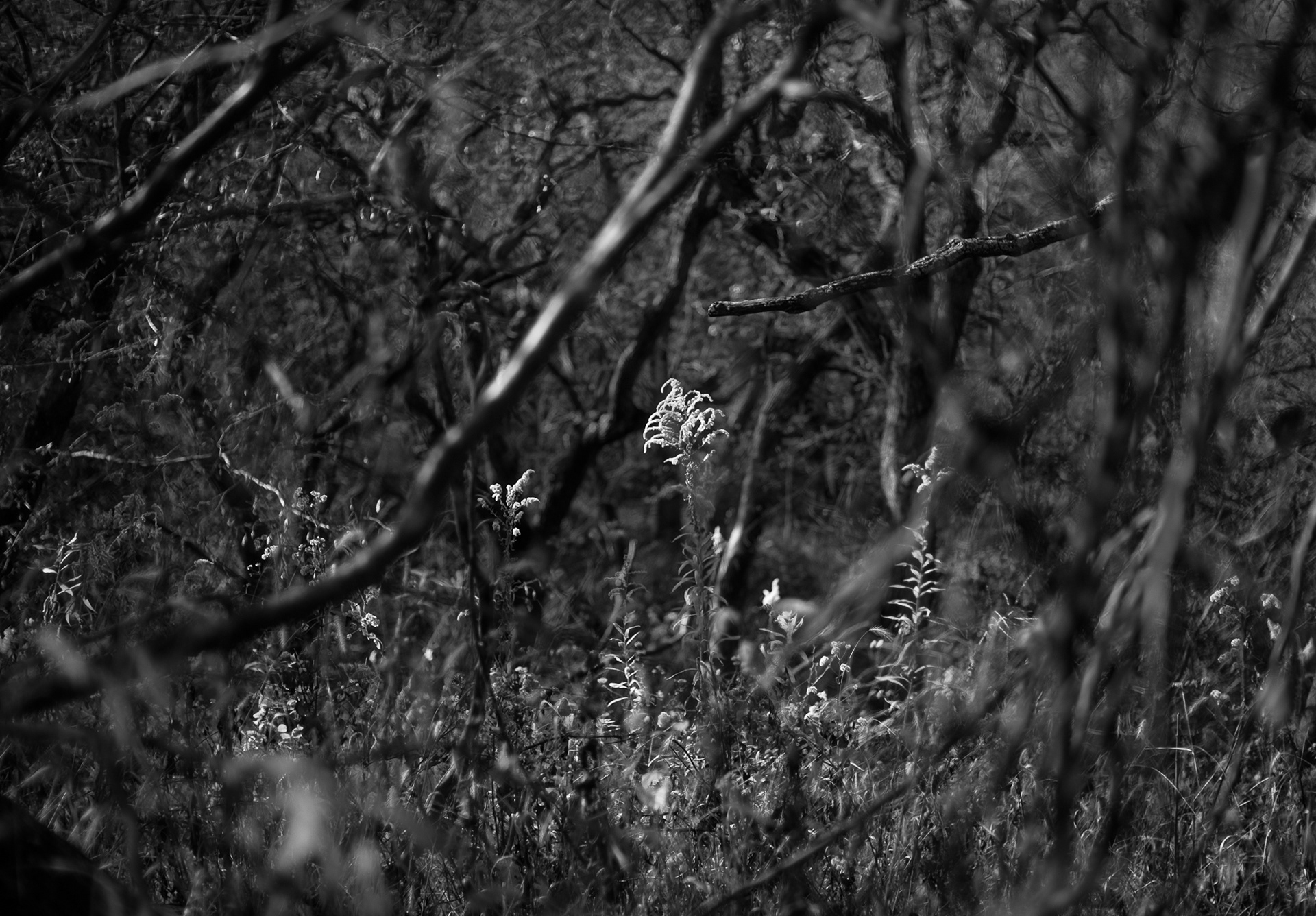 Surrounded
