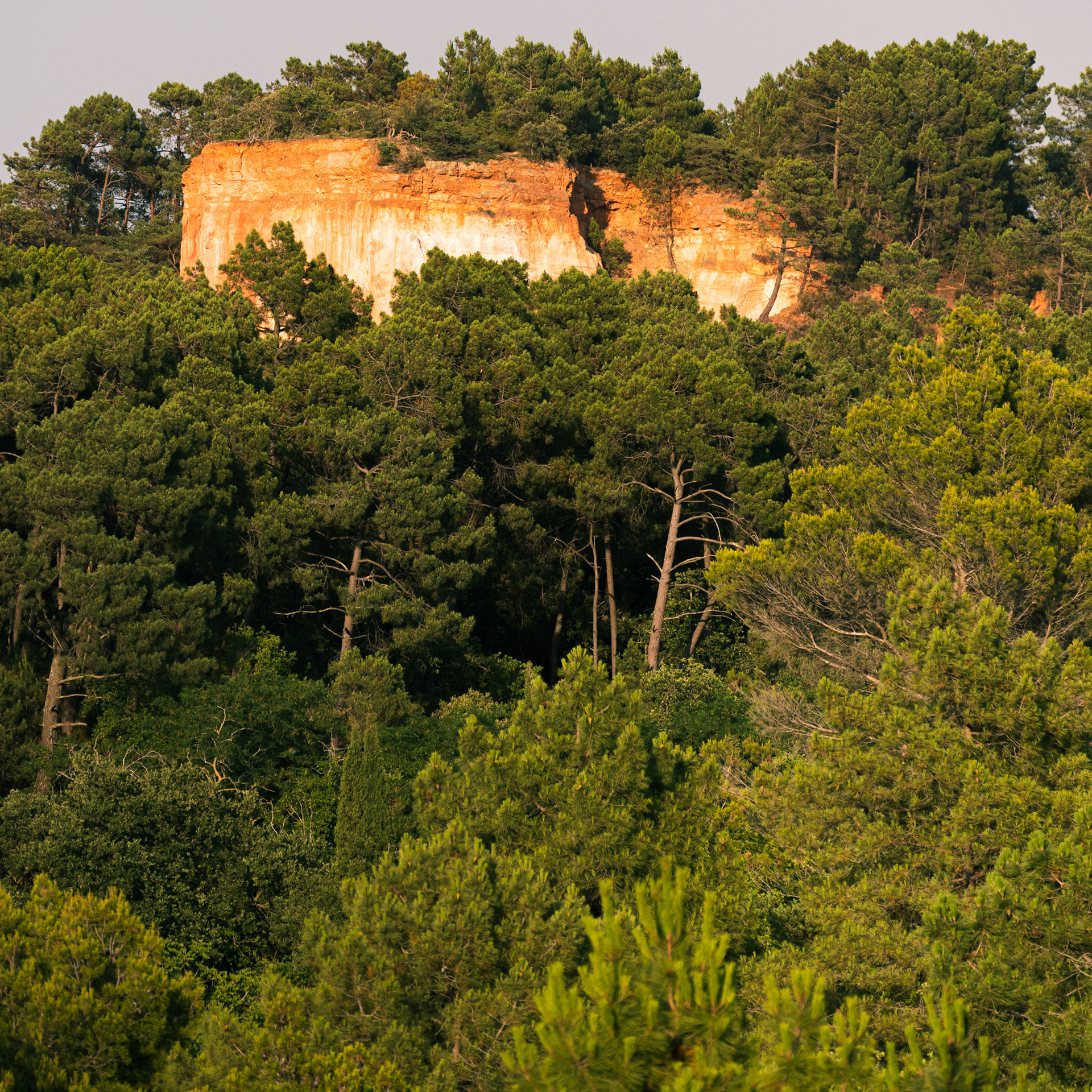 Le balcon de la forêt