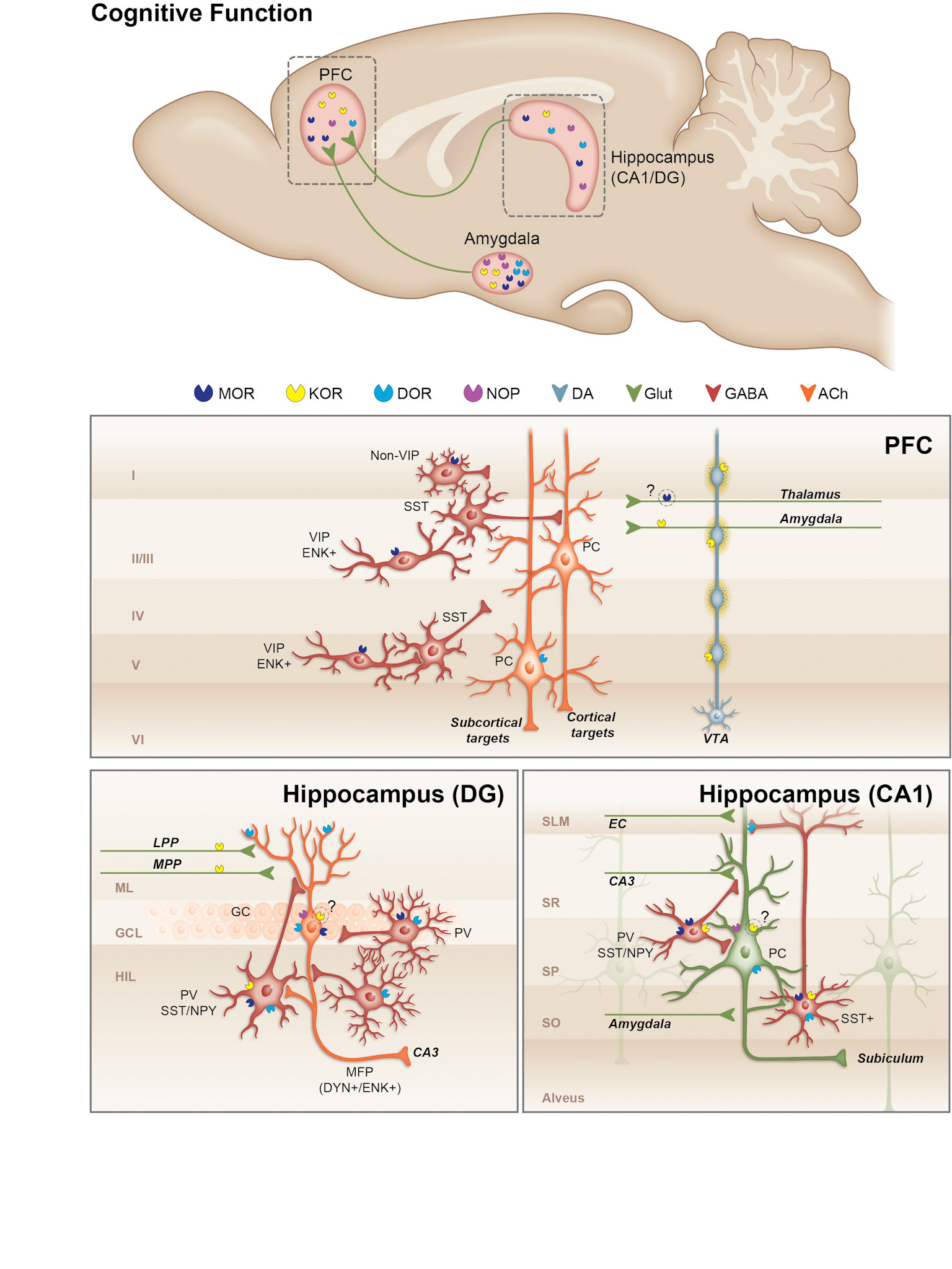 GS1570_235825 L3 2220-MA07_Alkermes_MDD Opioid Dysregulation Fig 4 D01