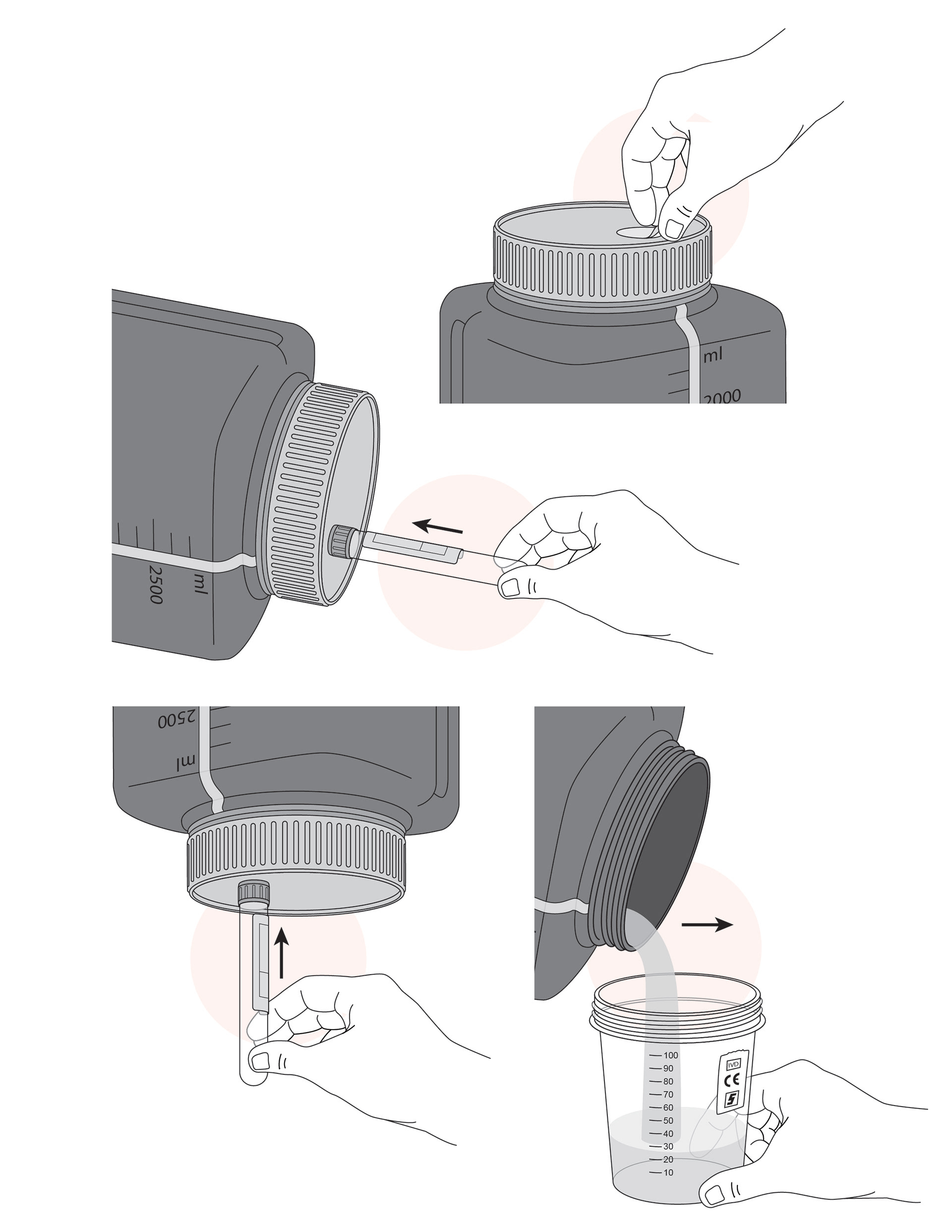 urine sample collection