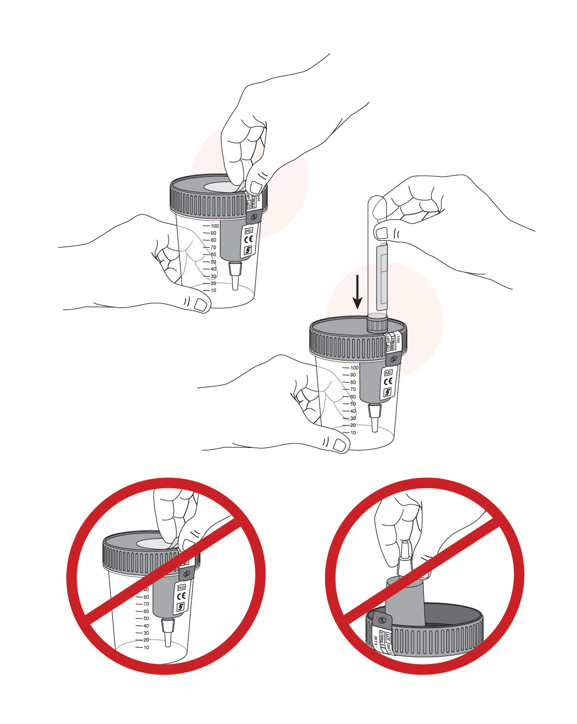 urine sample collection