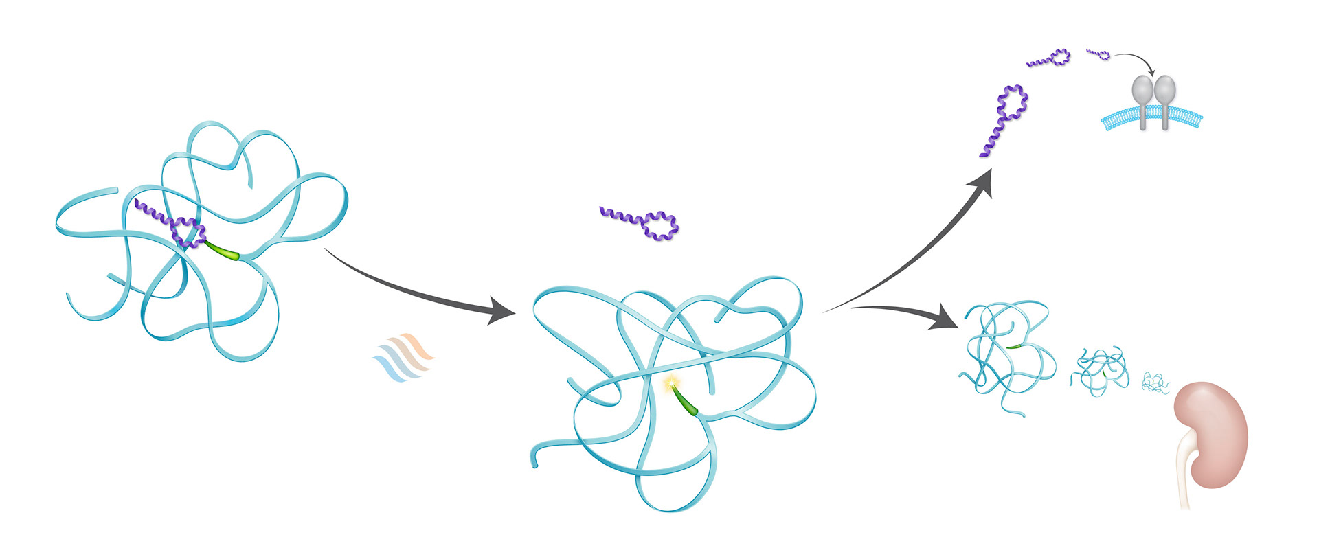 storyboard Brenda layers