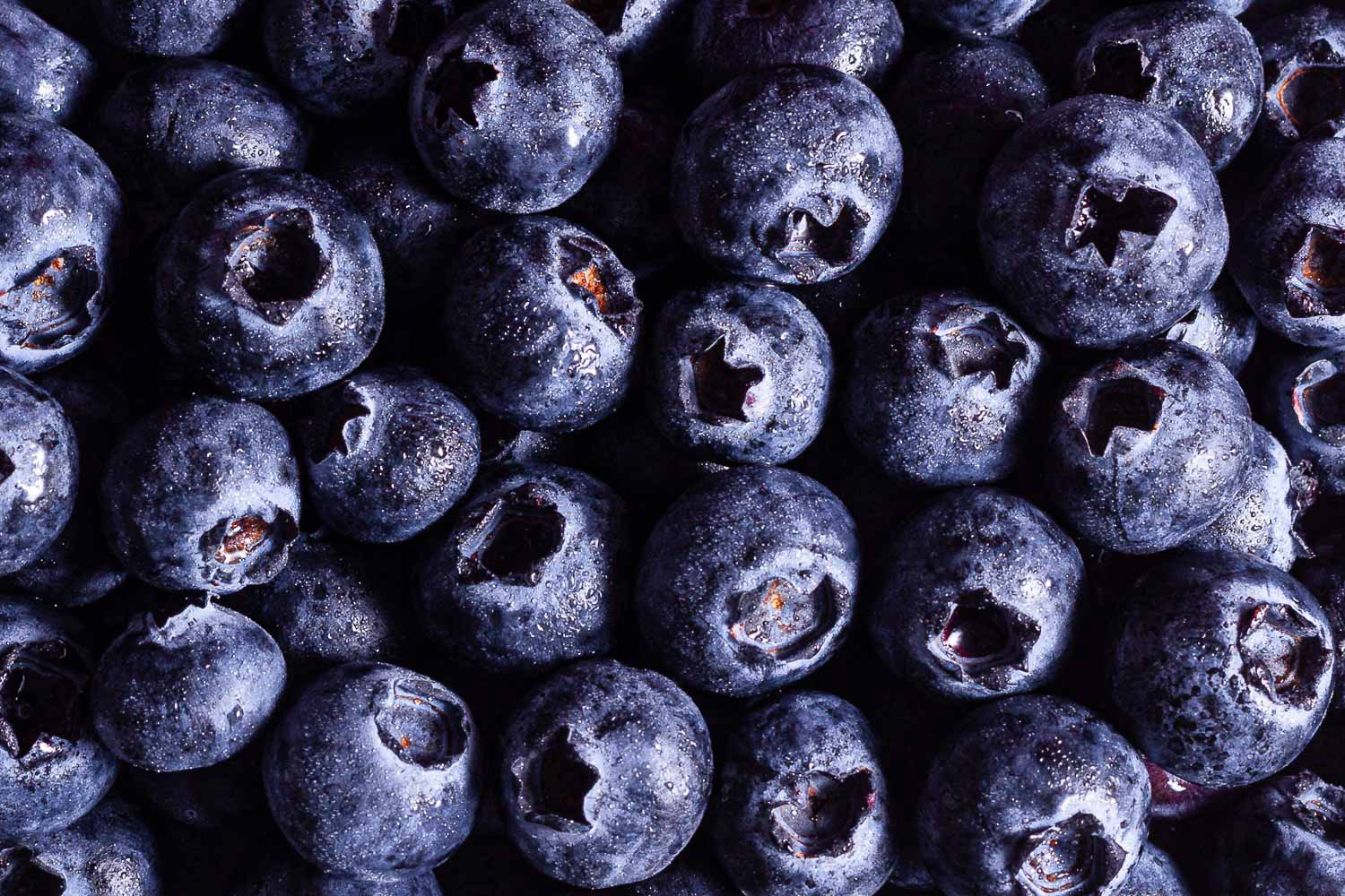 Dark and moody macro shot of blueberries