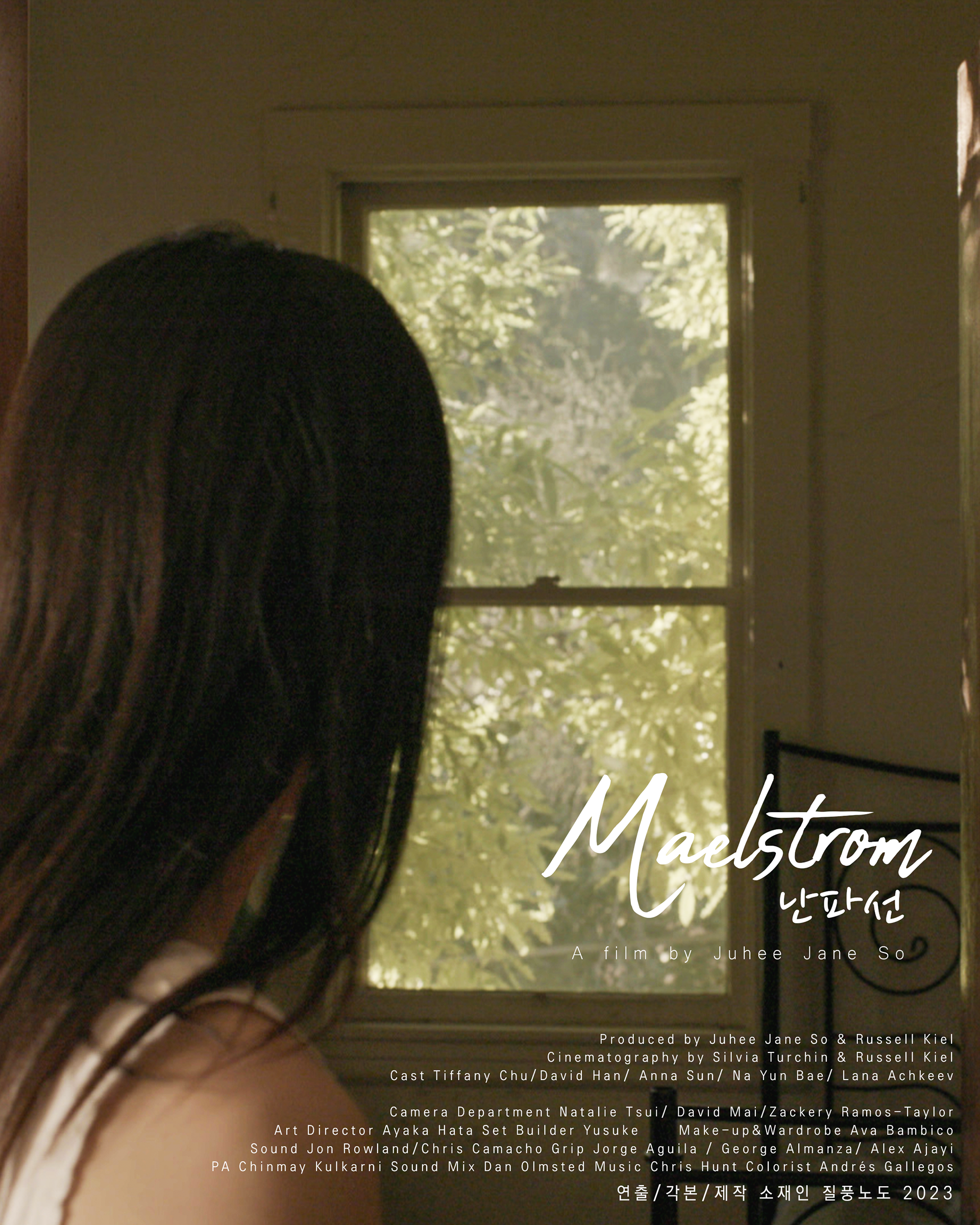 Maelstrom (난파선) Poster