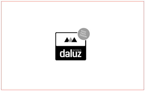 daluz logo