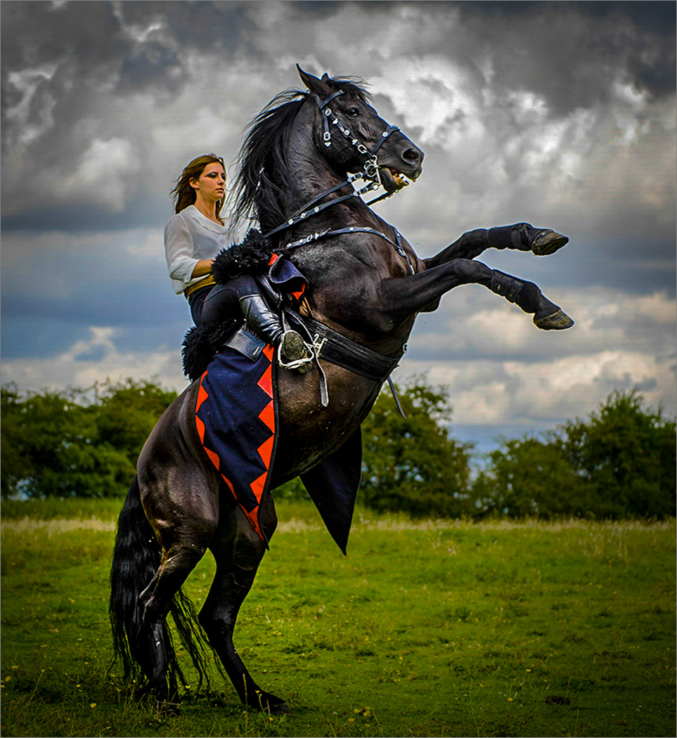 High Rider