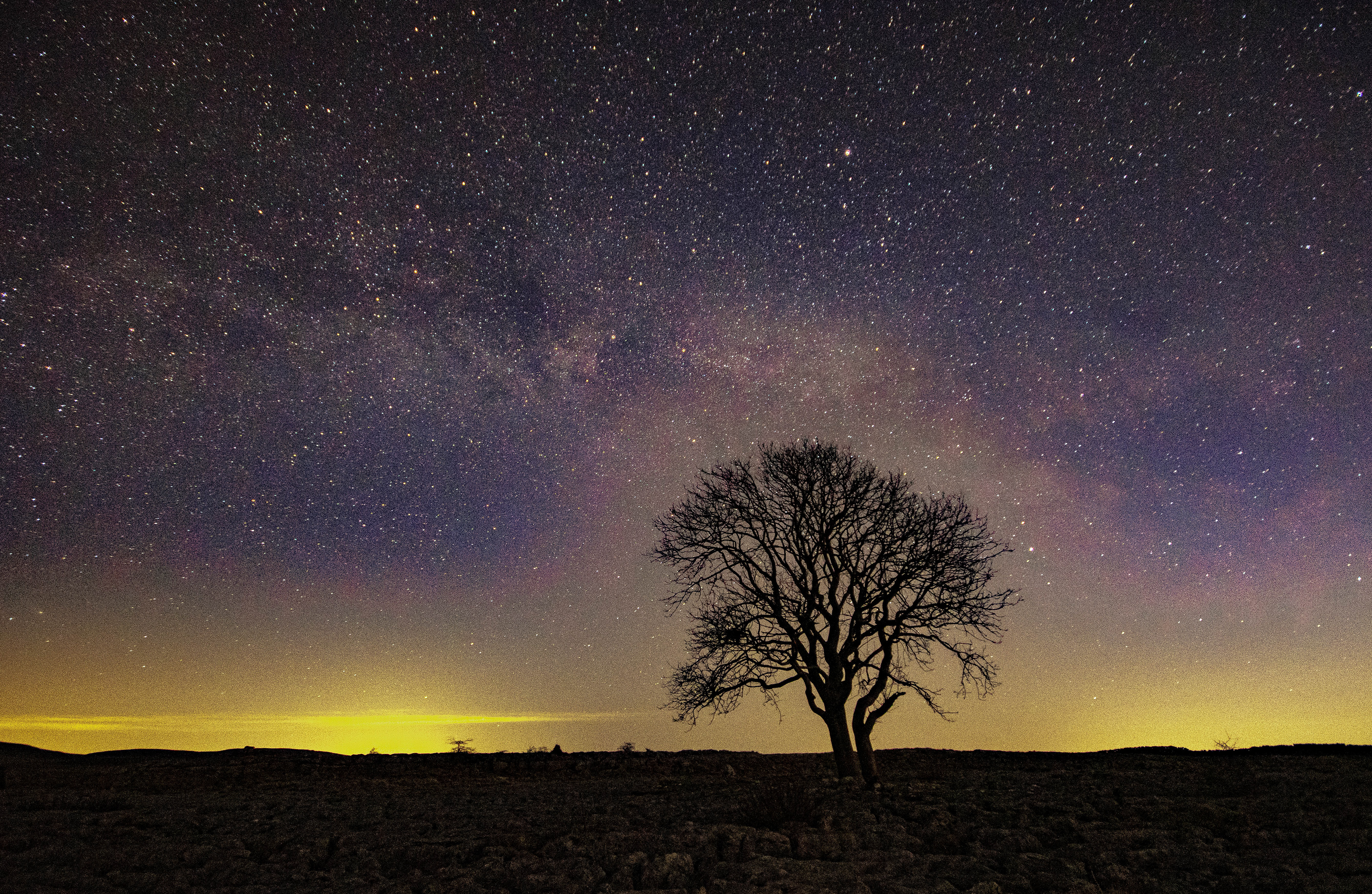 Lone Tree Milky Way