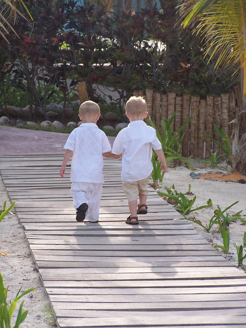 The Young Ones