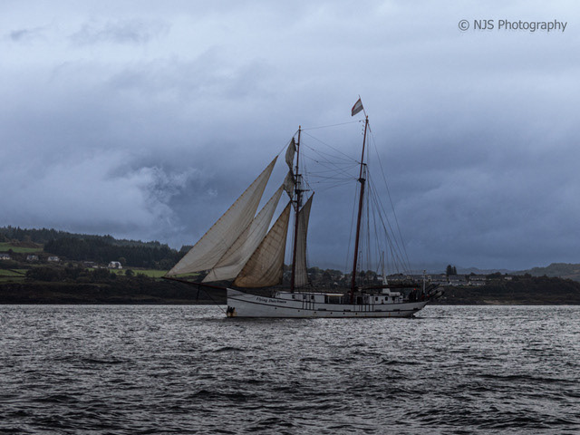 Flying Dutchman