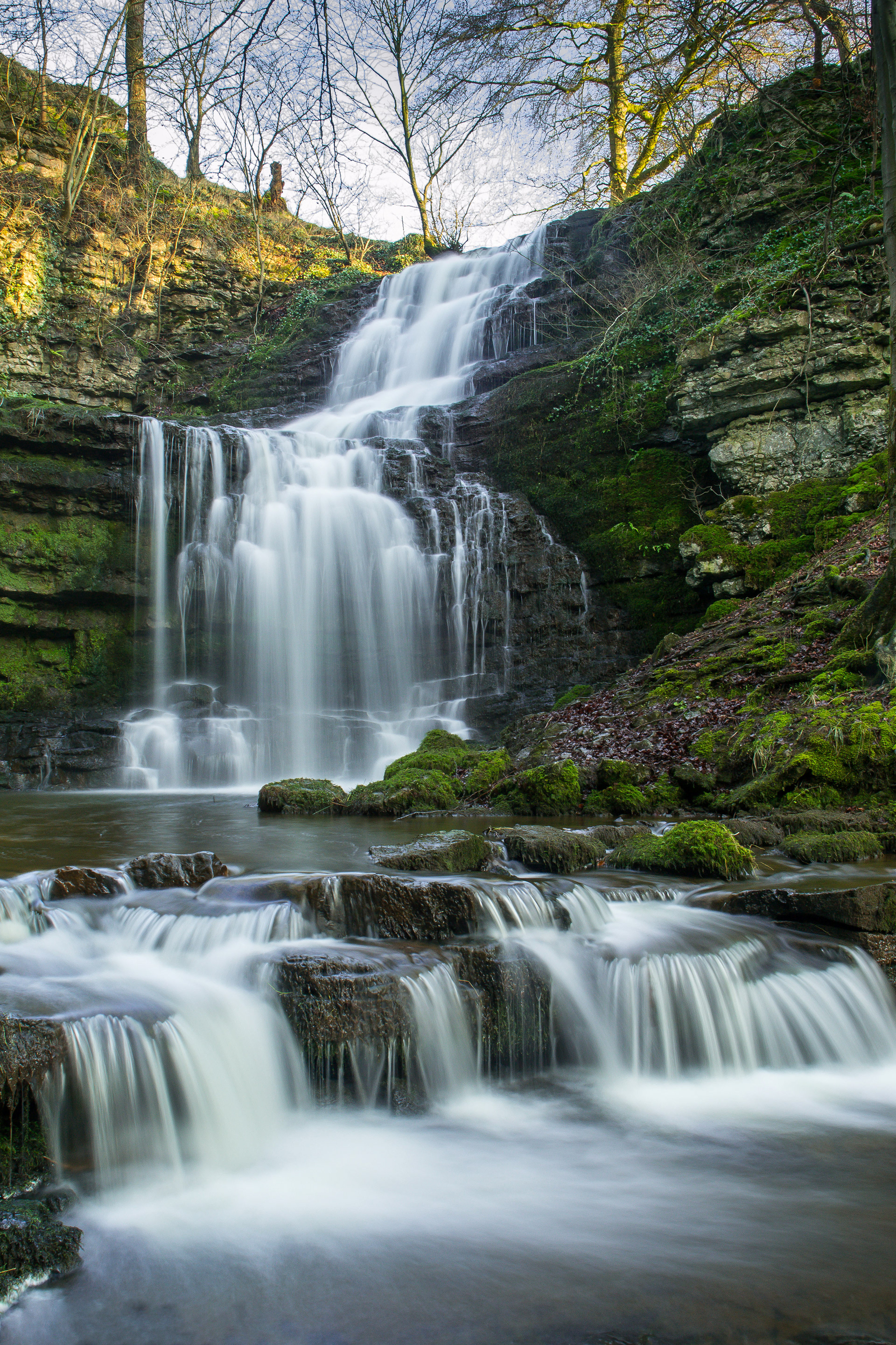 Scalebor Force