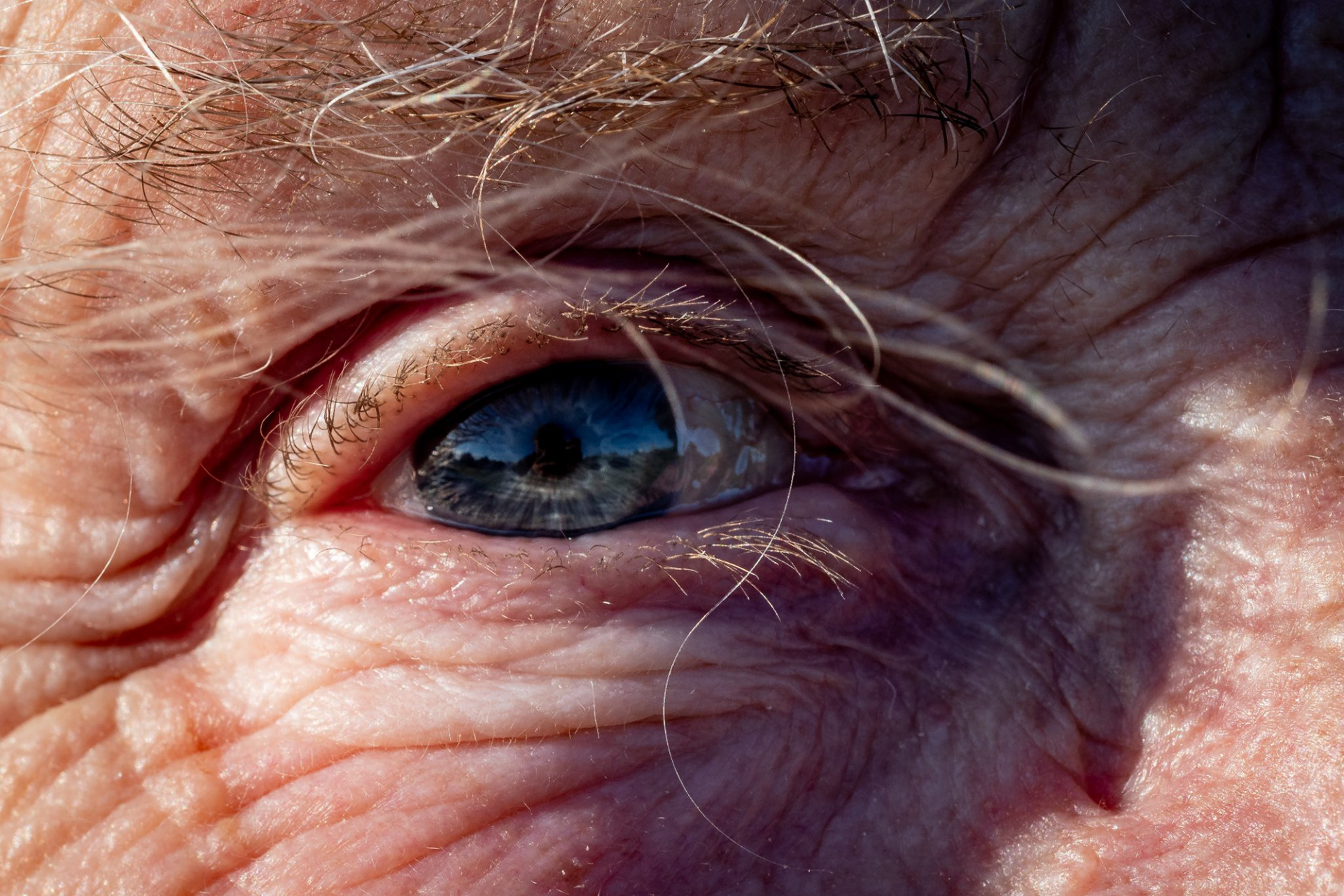 WINNER Close-Up by Alan Barber