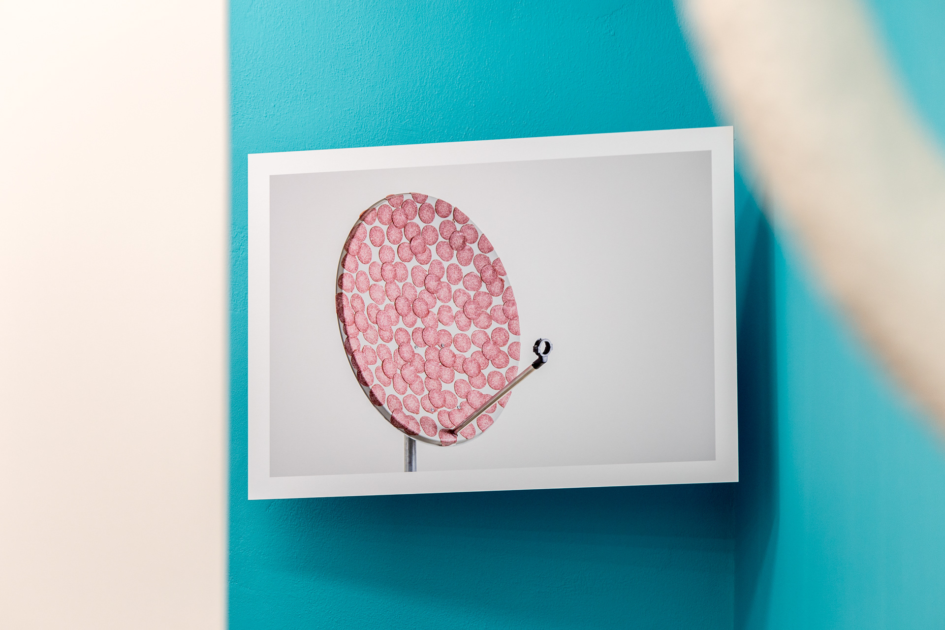 exhibiton view - "Fe80 Economy Line meets Herkules" 🥩📡📺🥩