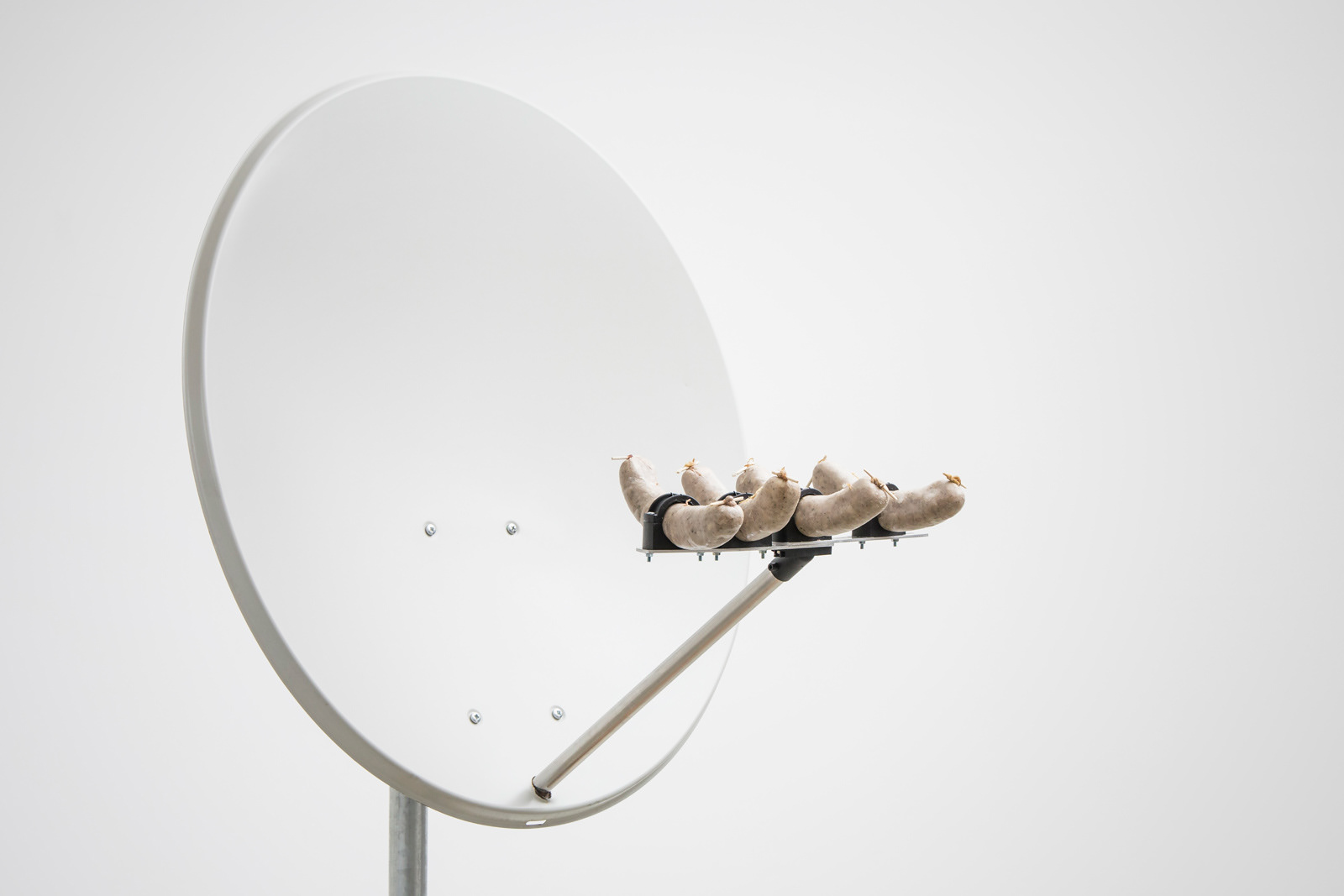 "Fe80 Economy Line meets Jitrnice"  (Jitrnice- traditional czech pork sausage)